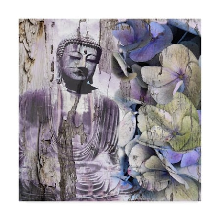 Surma & Guillen 'Timeless Buddha Iii' Canvas Art,35x35